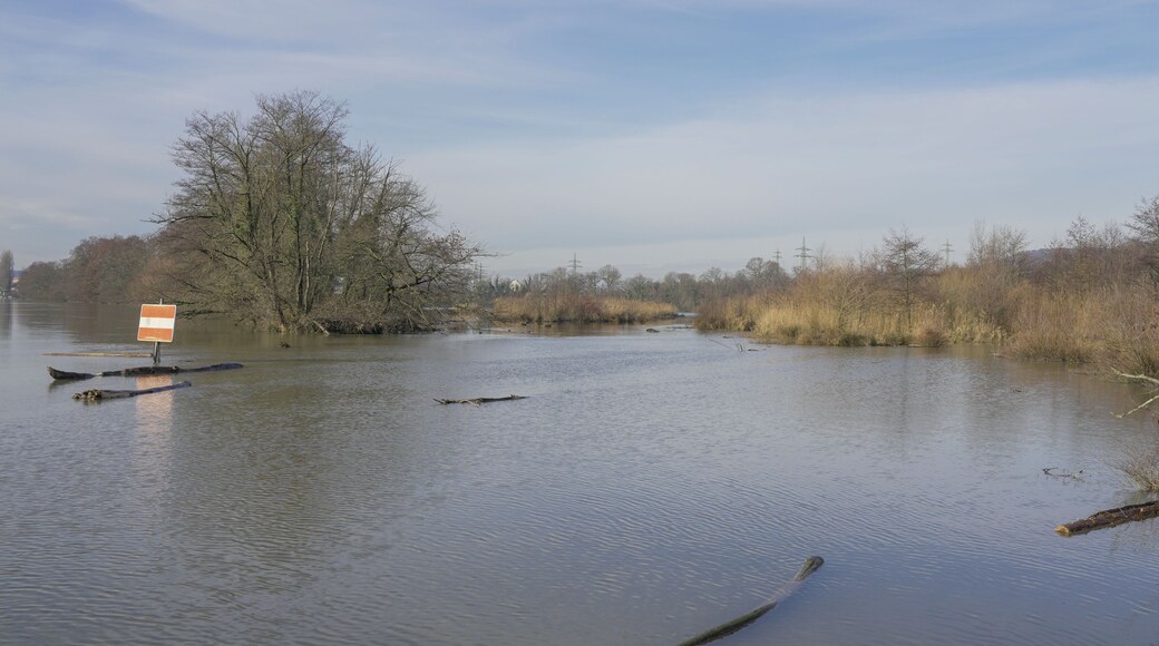 Naturschutzgebiet Altrhein Wyhlen