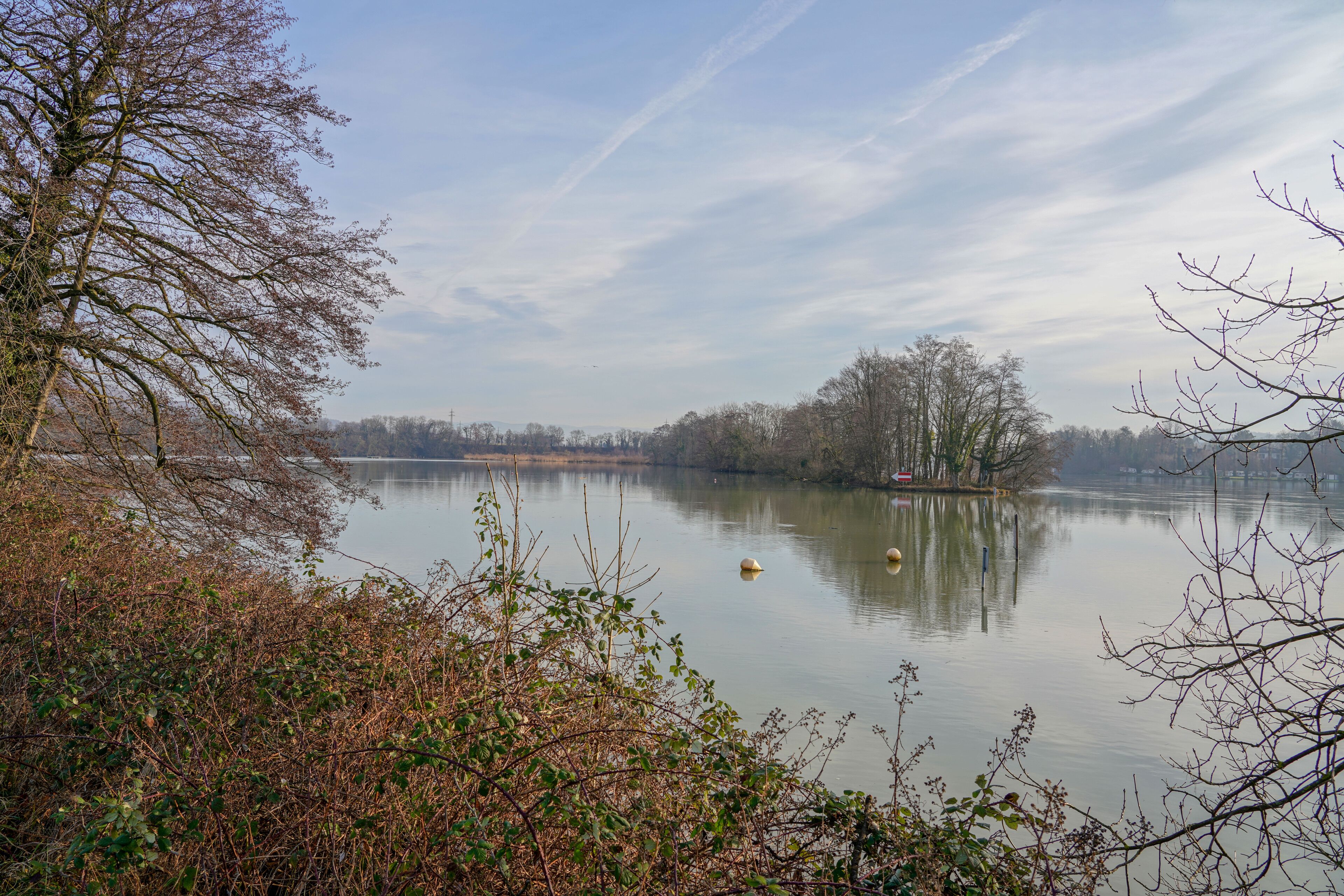 Naturschutzgebiet Altrhein Wyhlen