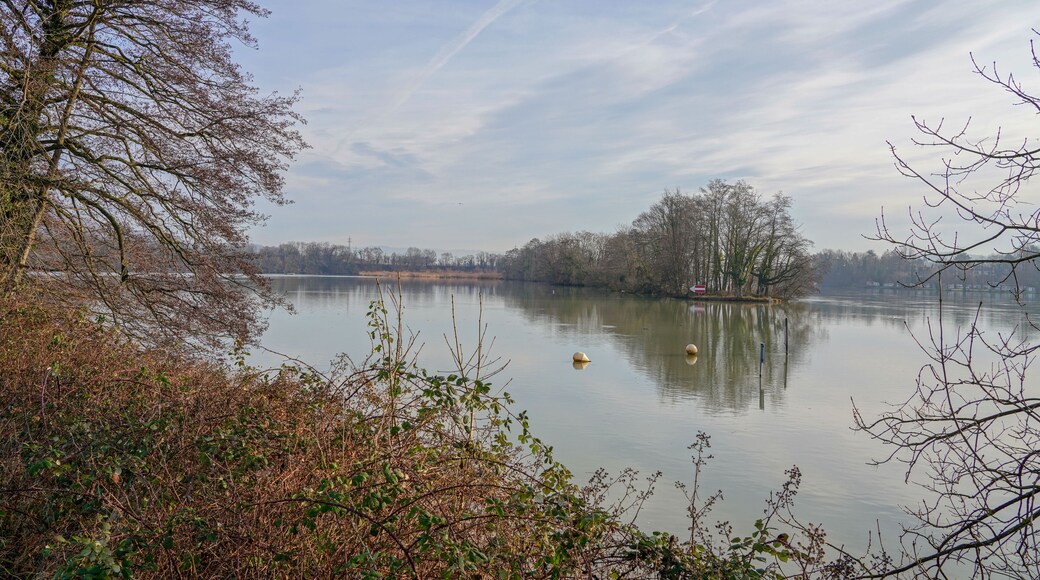 Naturschutzgebiet Altrhein Wyhlen