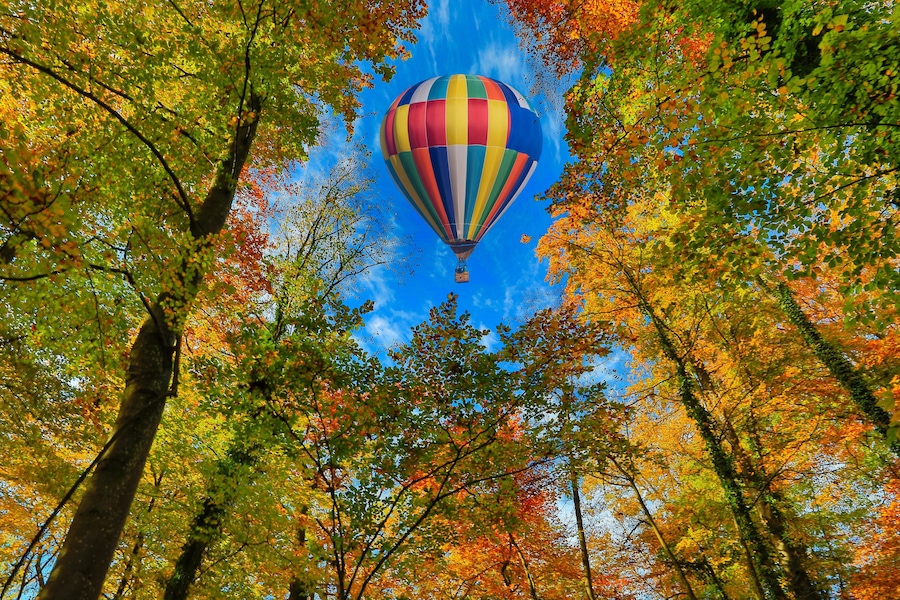 Un globo aerostático colorido rodeado de árboles otoñales.