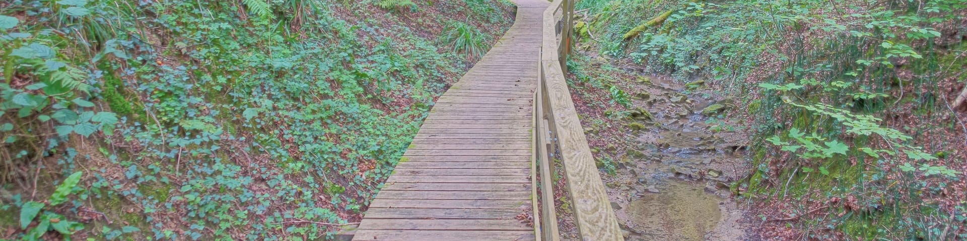 Geologisch interessantes Tal (Rustelgraben) mit naturnahen Laubmischwäldern