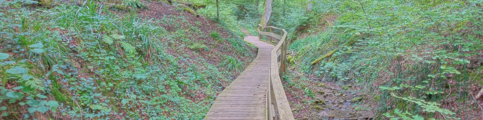 Geologisch interessantes Tal (Rustelgraben) mit naturnahen Laubmischwäldern