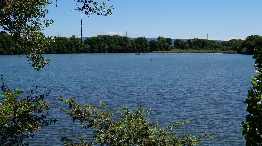 Nature reserve Altrhein Wyhlen (district Lörrach)