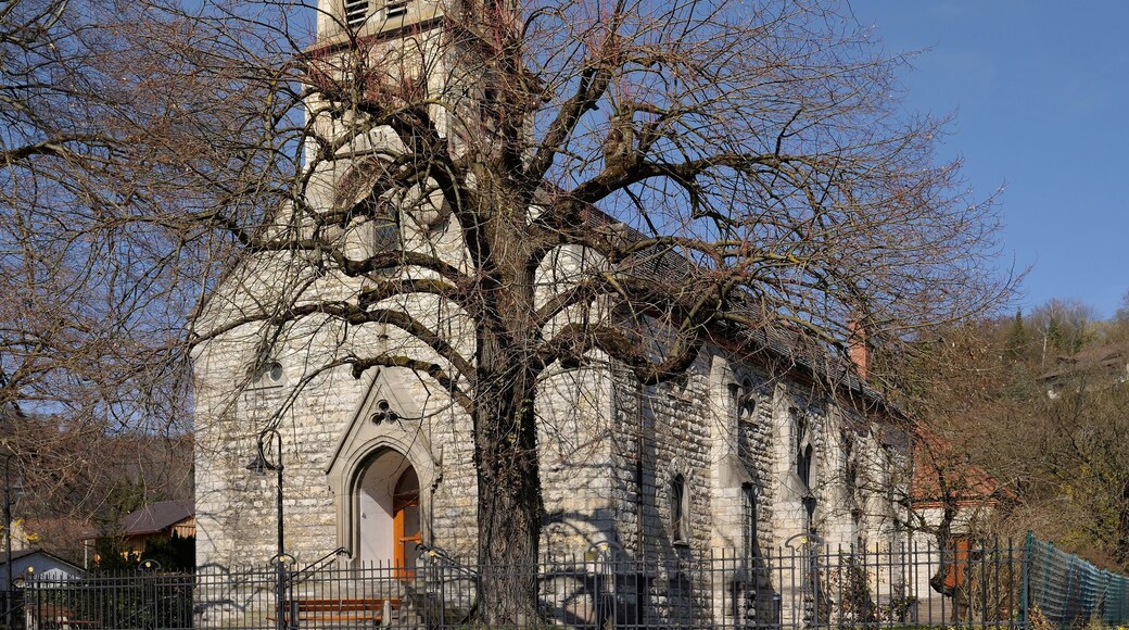 Wyhlen: the Peace Church, as seen from the south-west