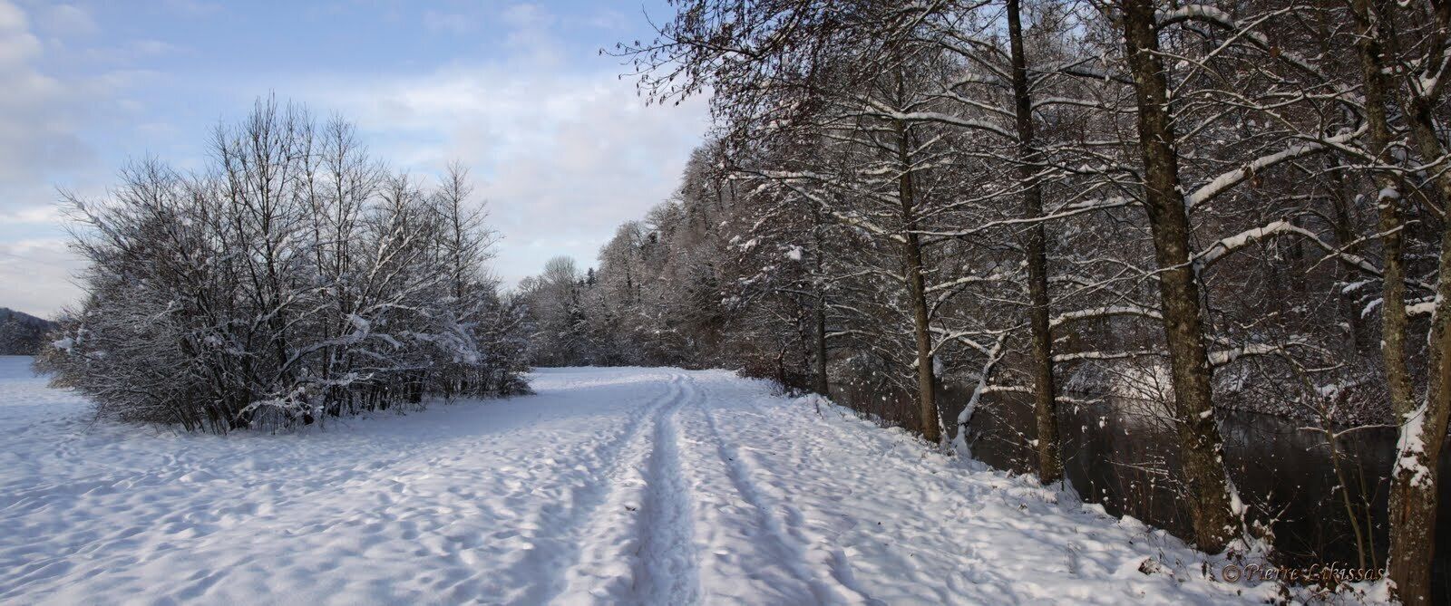 A snow-covered path through a forest with bare trees and a clear sky.
