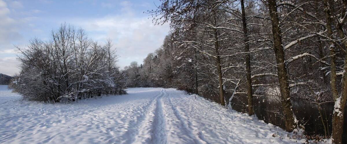 A snow-covered path through a forest with bare trees and a clear sky.