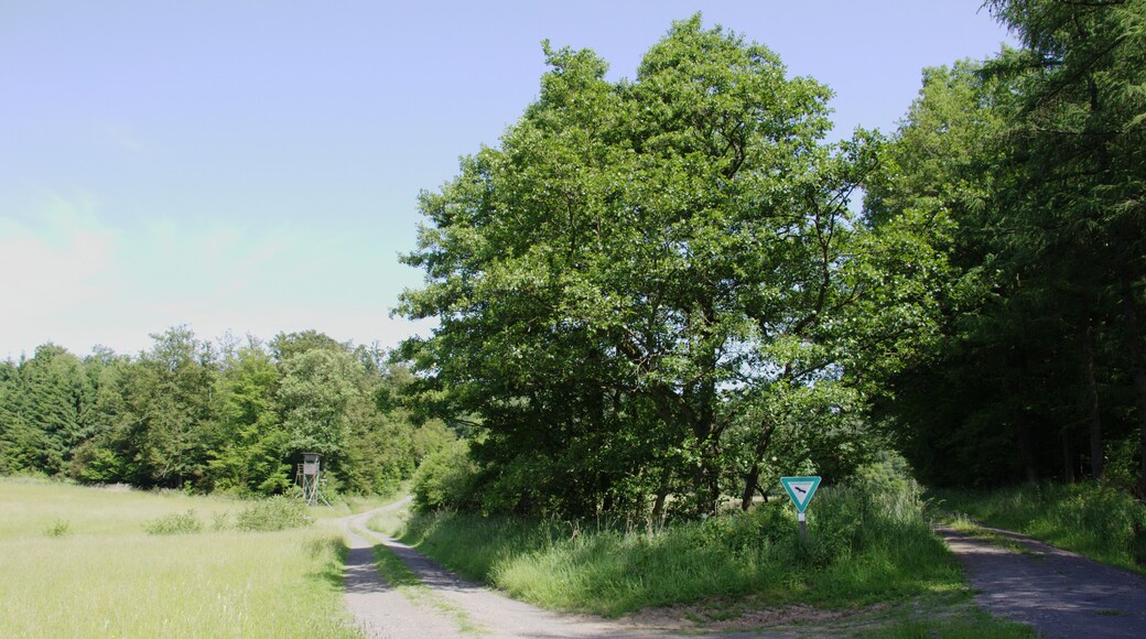 This is a picture of the protected area listed at WDPA under the ID