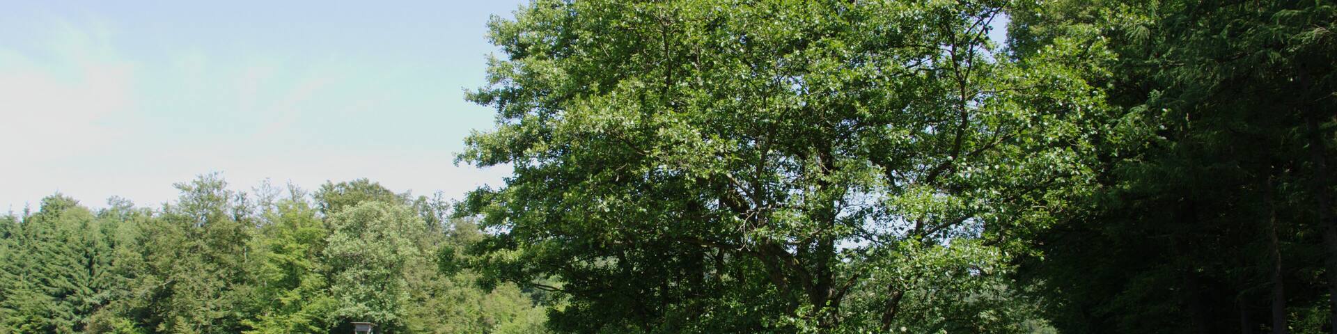 This is a picture of the protected area listed at WDPA under the ID