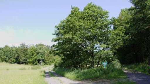 This is a picture of the protected area listed at WDPA under the ID