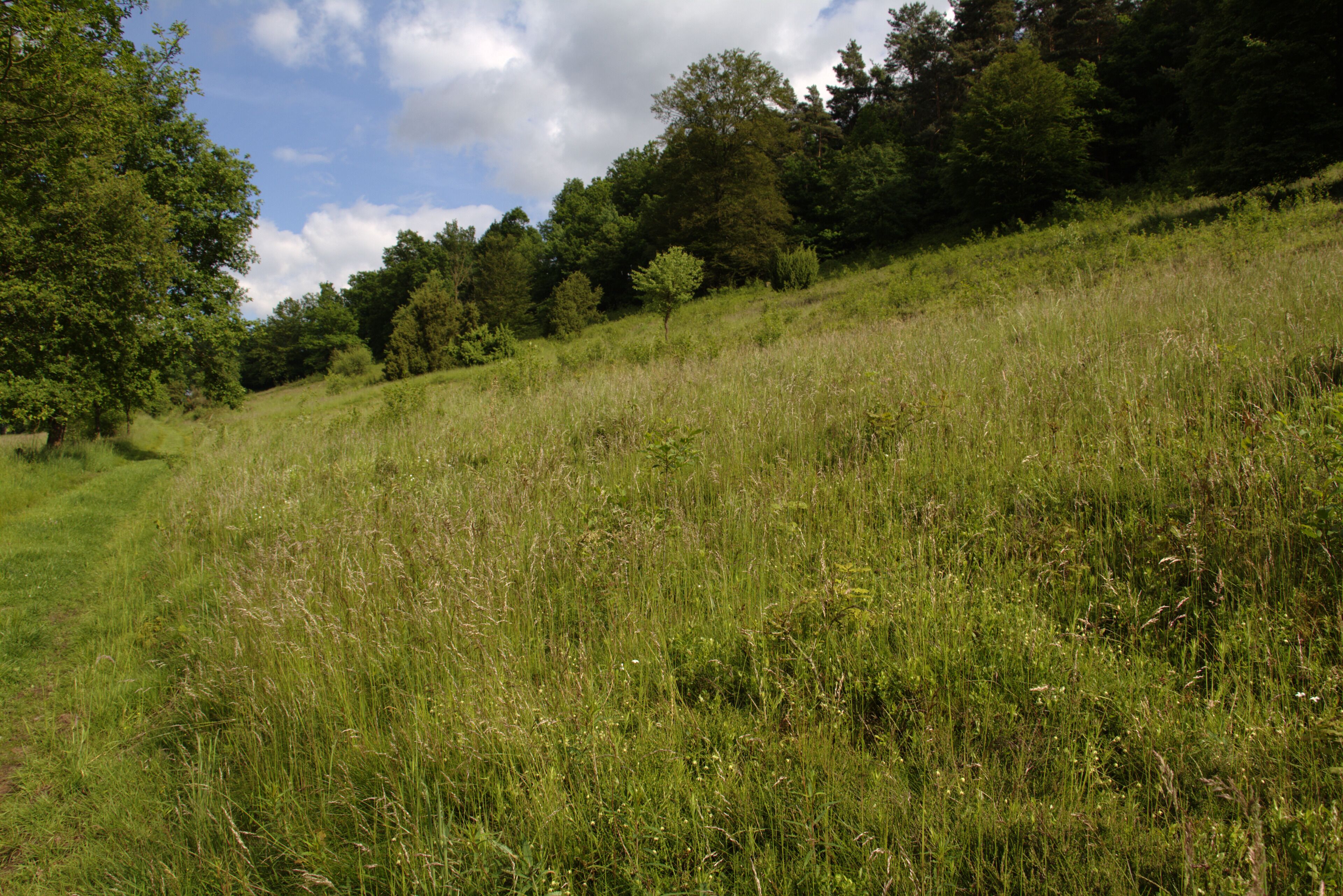 This image was uploaded as part of Wiki Loves Earth 2014.