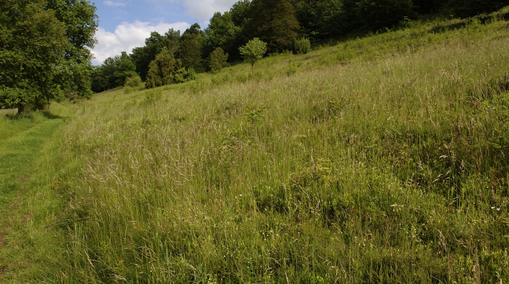 This image was uploaded as part of Wiki Loves Earth 2014.