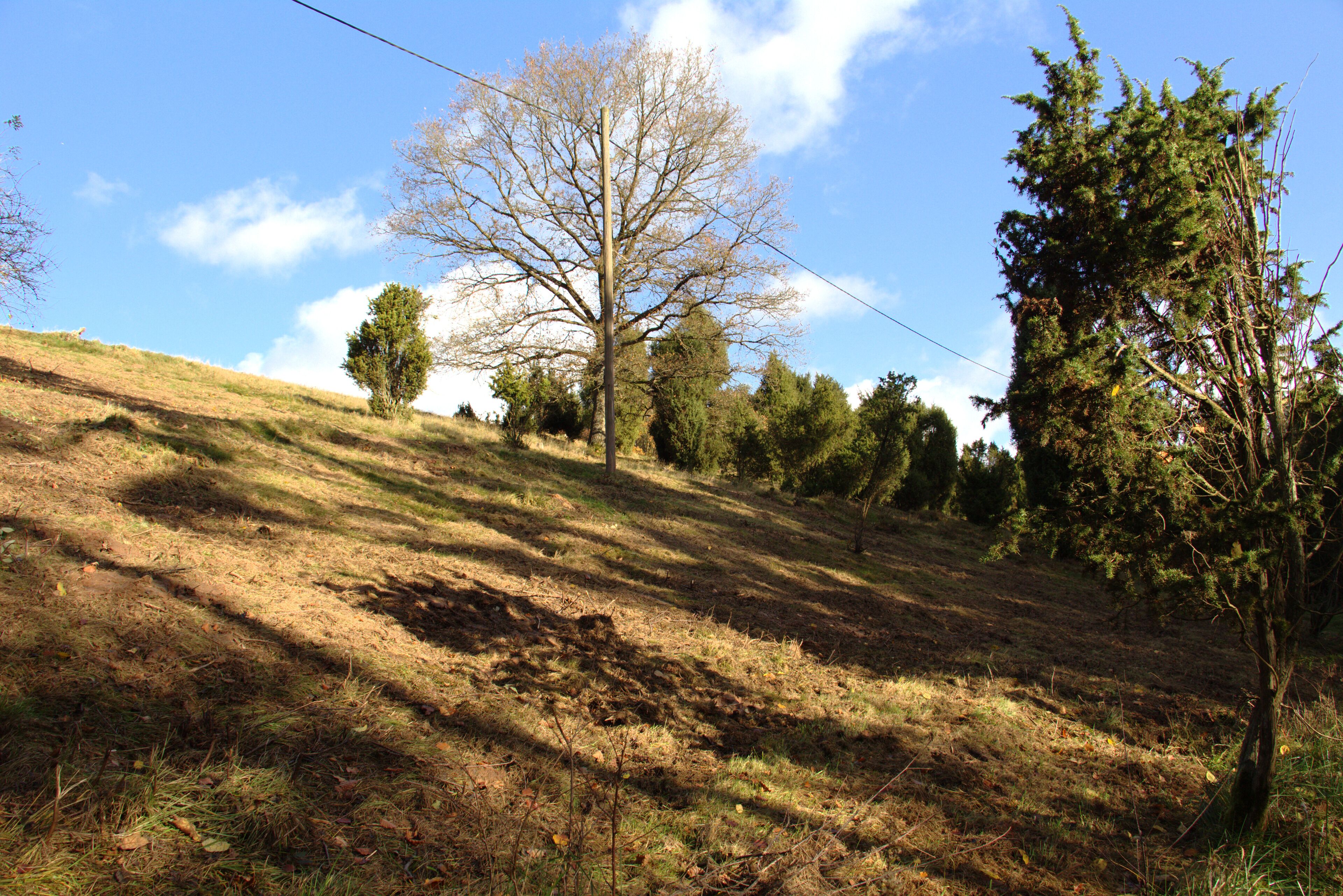 This is a picture of the protected area listed at WDPA under the ID