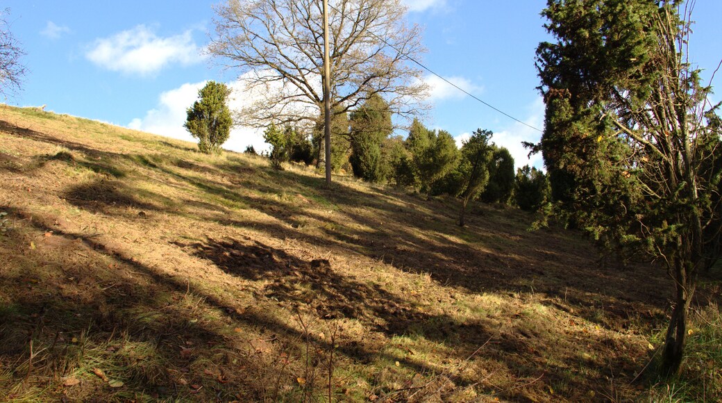 This is a picture of the protected area listed at WDPA under the ID