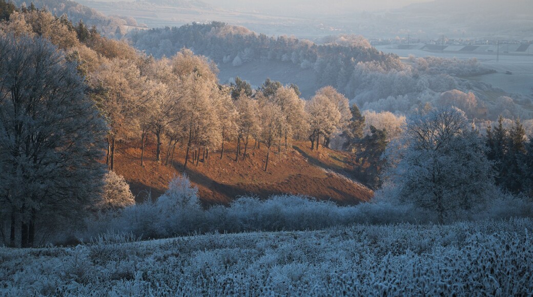 This is a picture of the protected area listed at WDPA under the ID