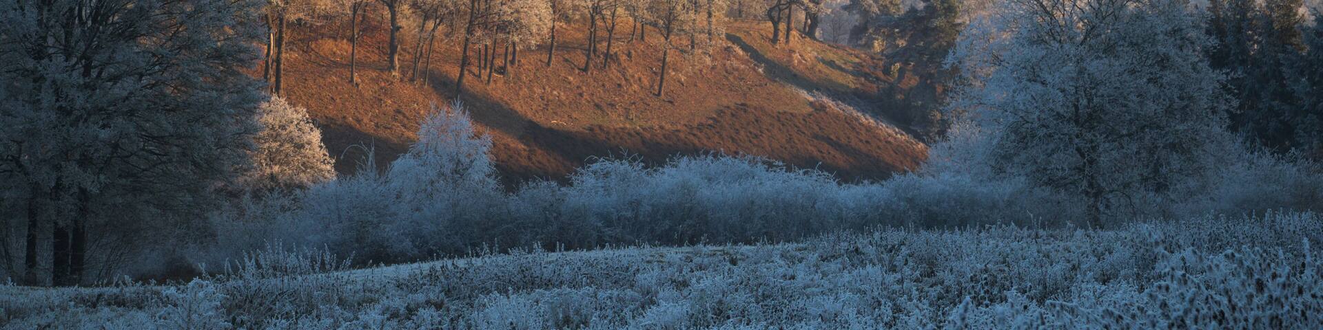 This is a picture of the protected area listed at WDPA under the ID