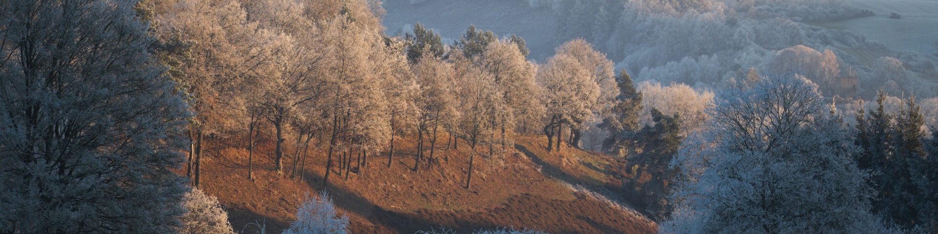 This is a picture of the protected area listed at WDPA under the ID