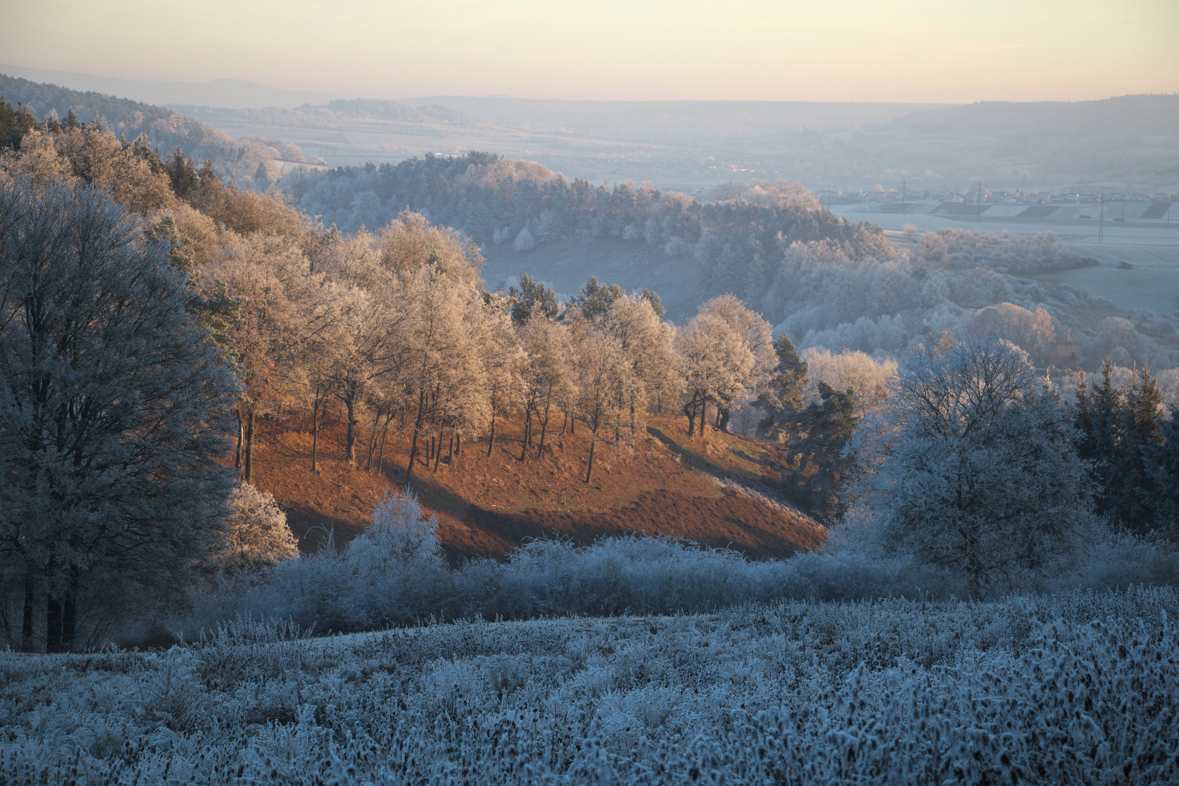 A frost-covered landscape with trees and hills.