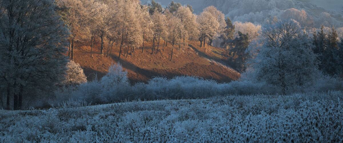 A frost-covered landscape with trees and hills.