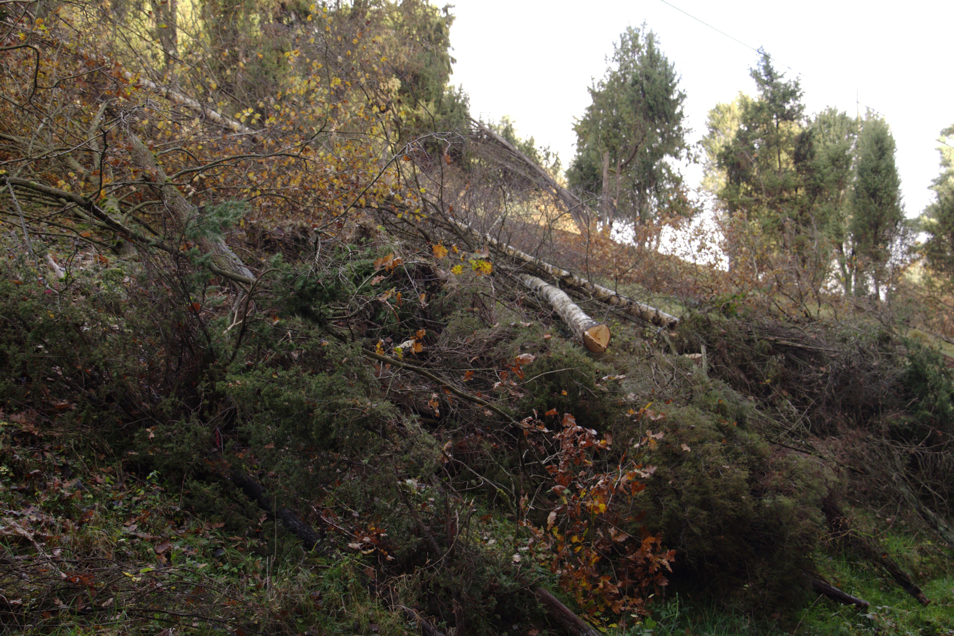 This is a picture of the protected area listed at WDPA under the ID