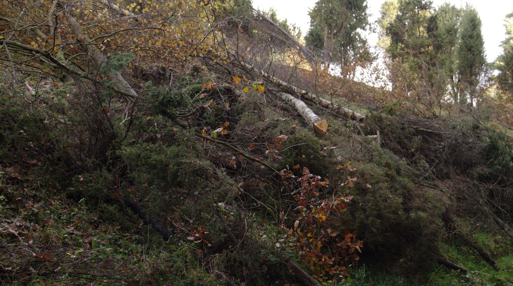 This is a picture of the protected area listed at WDPA under the ID