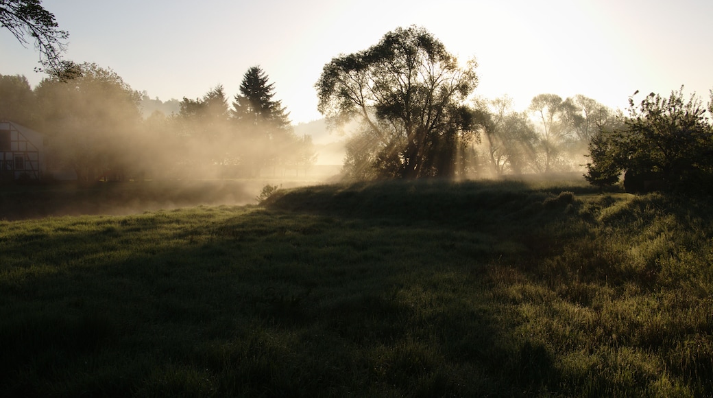 Lauter (river) near confluence with "Rudloser Bach" (stream) in Angersbach, Wartenberg, Hesse, Germany