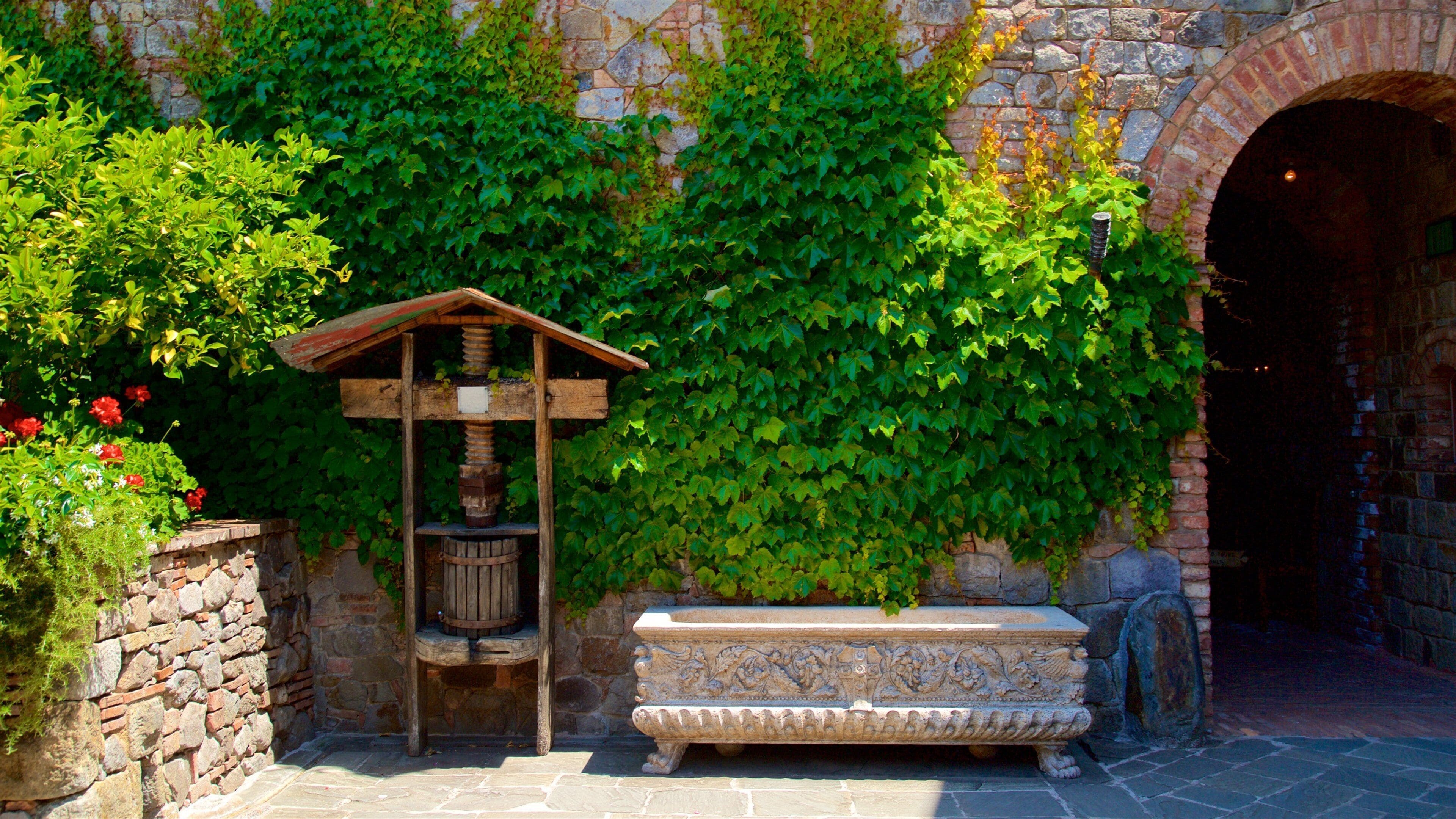 Castello di Amorosa featuring heritage elements and wildflowers