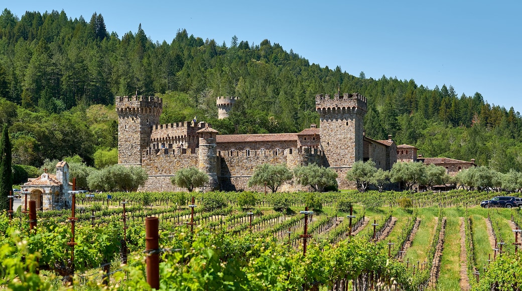 Vineyards with castle in California