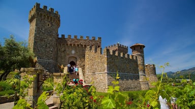 カステッロ デ アモローサ フィーチャー 教会あるいは大聖堂, 遺跡・遺産 と 野花