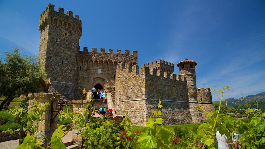 Castello di Amorosa featuring a church or cathedral, wild flowers and heritage elements