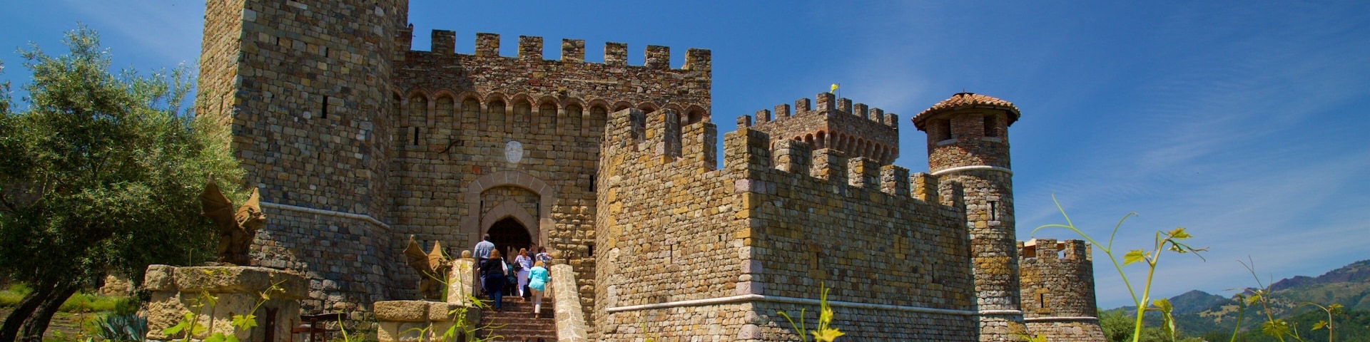 Castello di Amorosa showing a church or cathedral, wildflowers and heritage elements