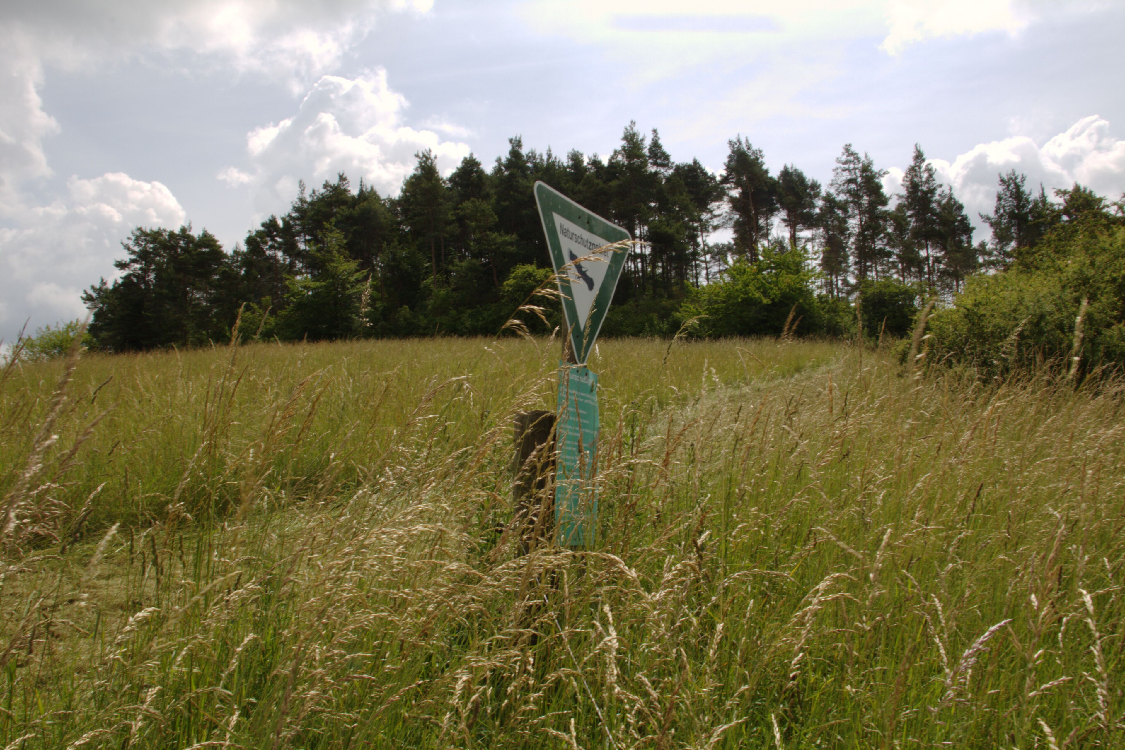 This is a picture of the protected area listed at WDPA under the ID