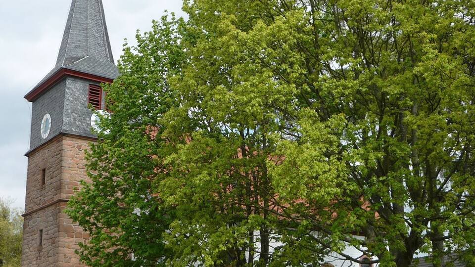 A church with a tall steeple and a large tree in front.