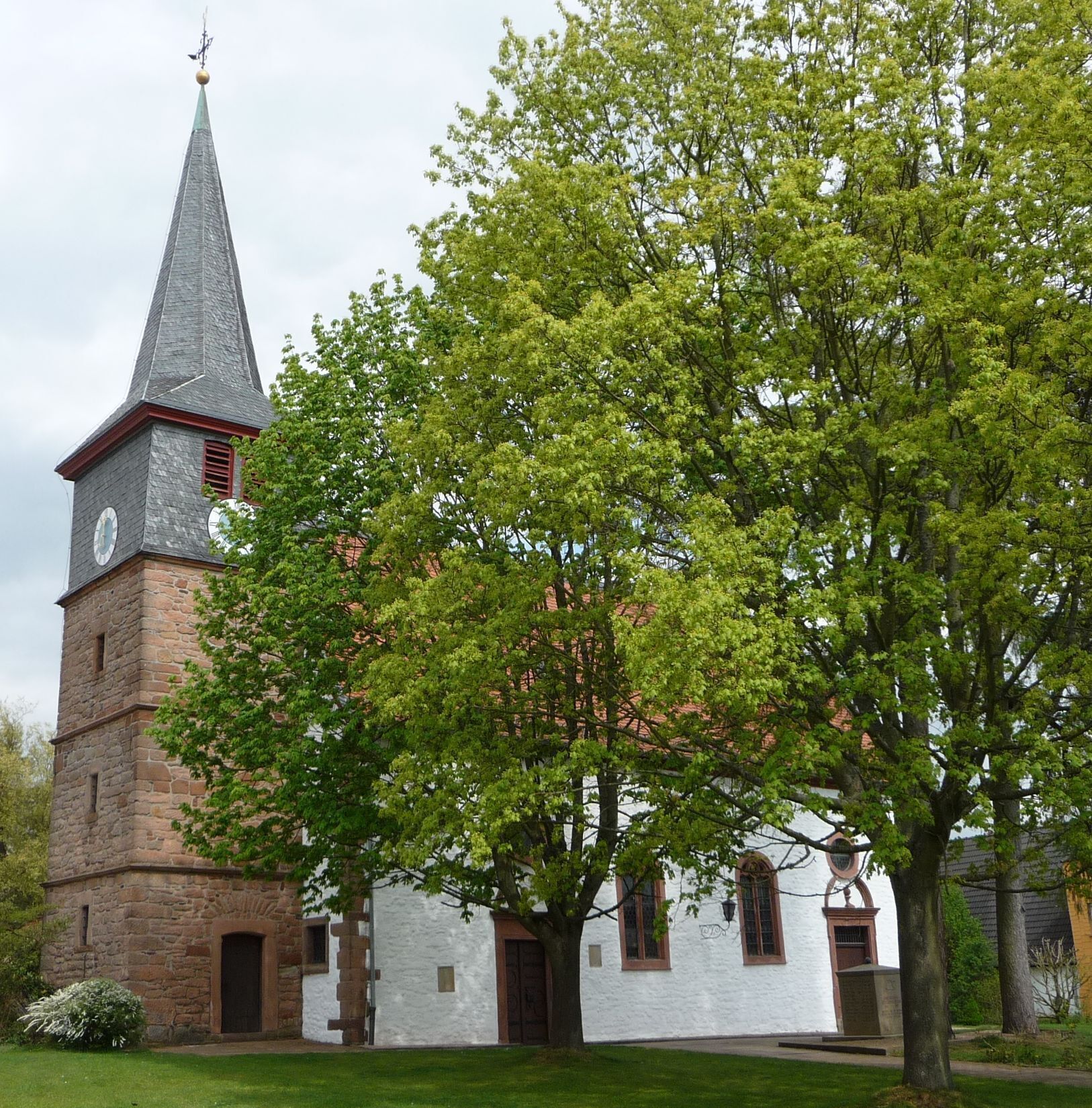 A church with a tall steeple and a large tree in front.