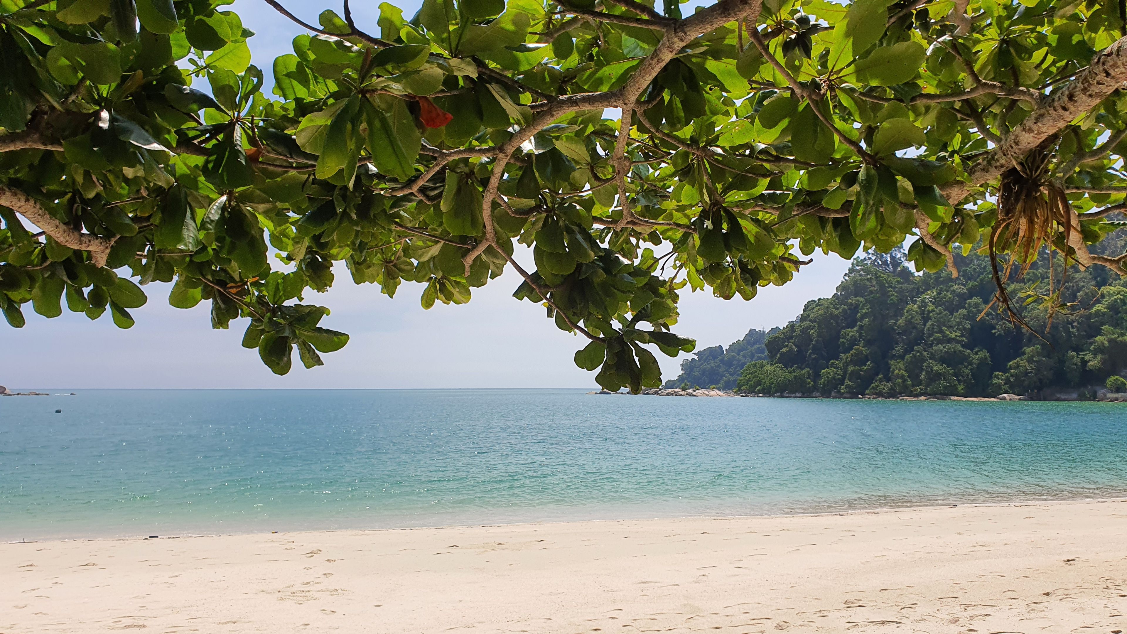 Playa Teluk Nipah