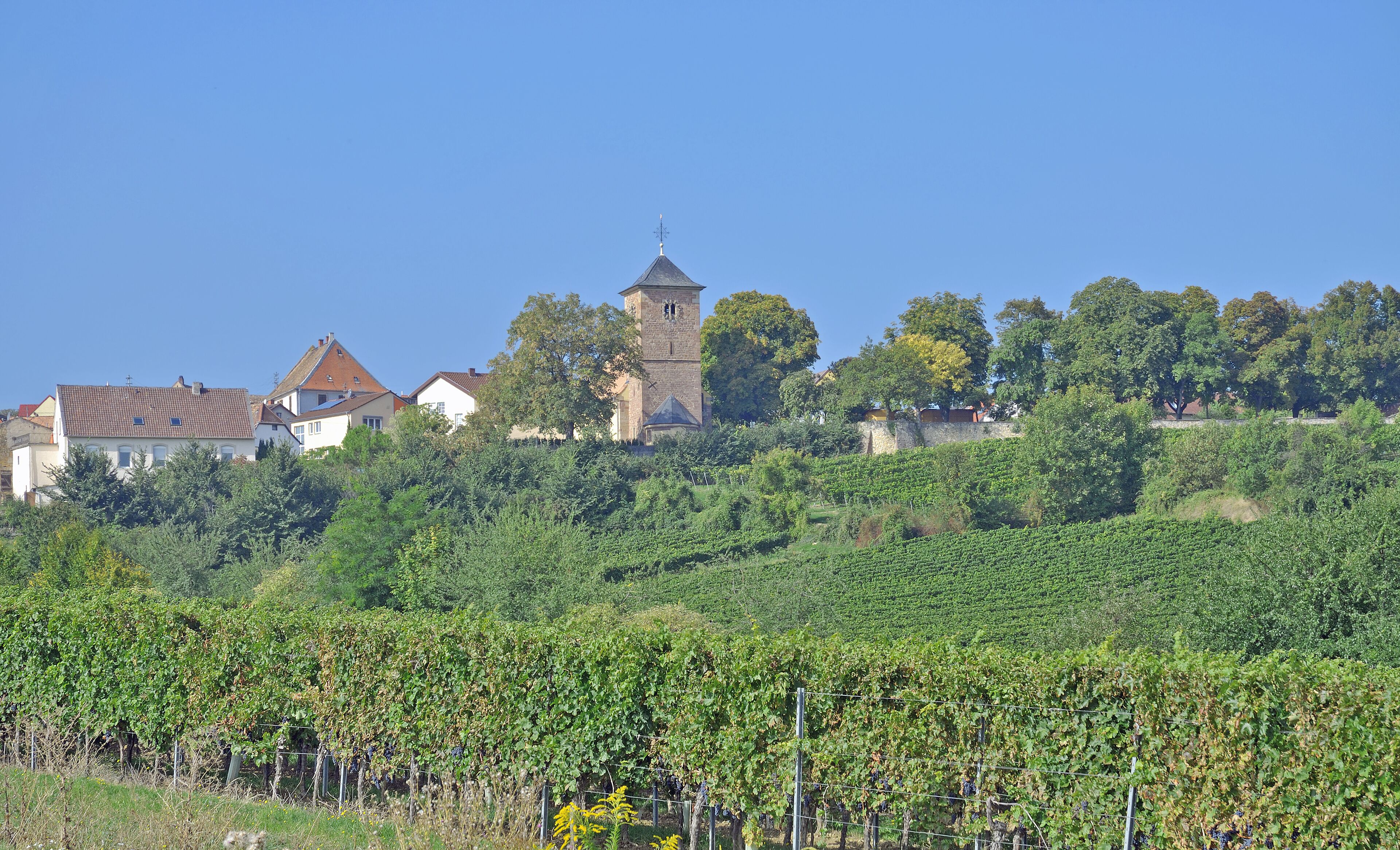 der bekannte Weinort Herxheim am Berg an der Deutschen Weinstrasse,Rheinland-Pfalz,Deutschland