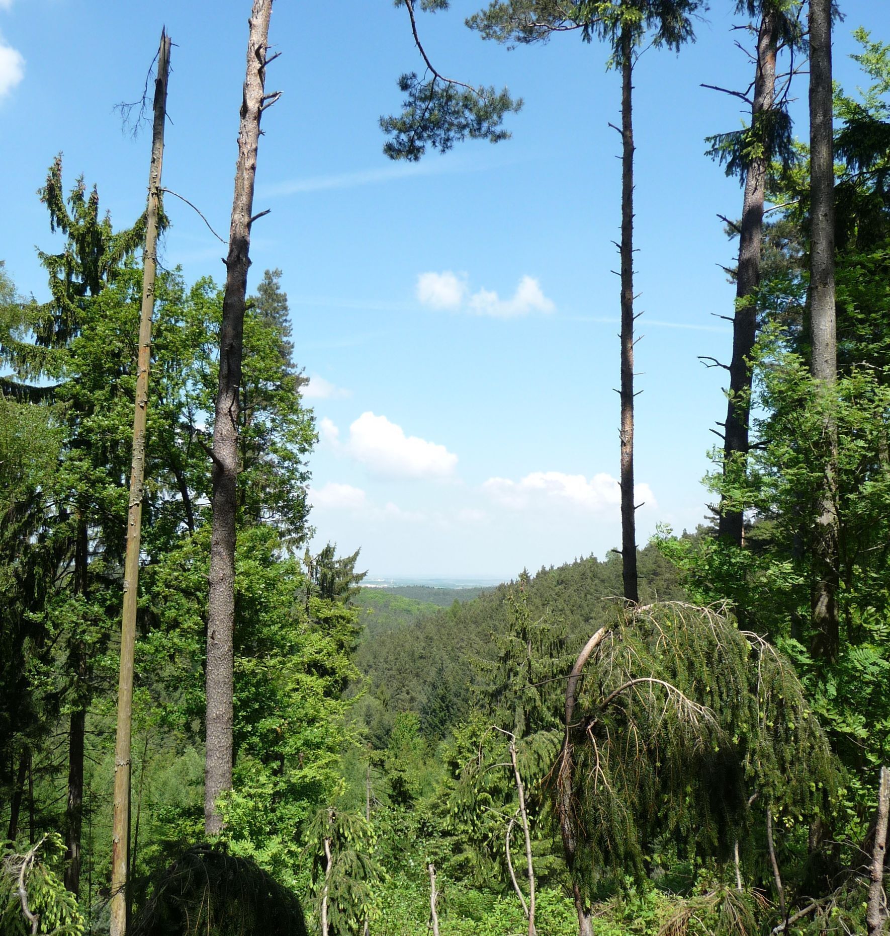 Über dem Ungeheuersee