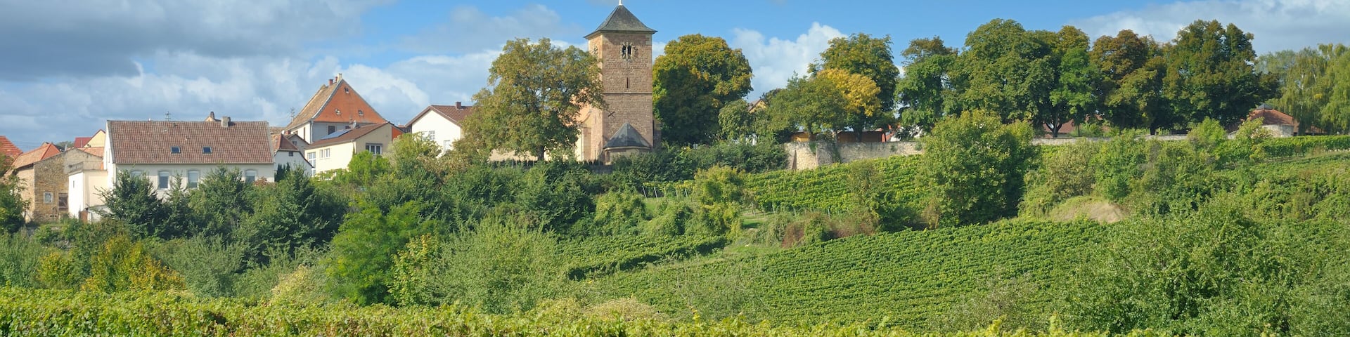 A village with a prominent tower, lush vineyards, and traditional houses under a partly cloudy sky.