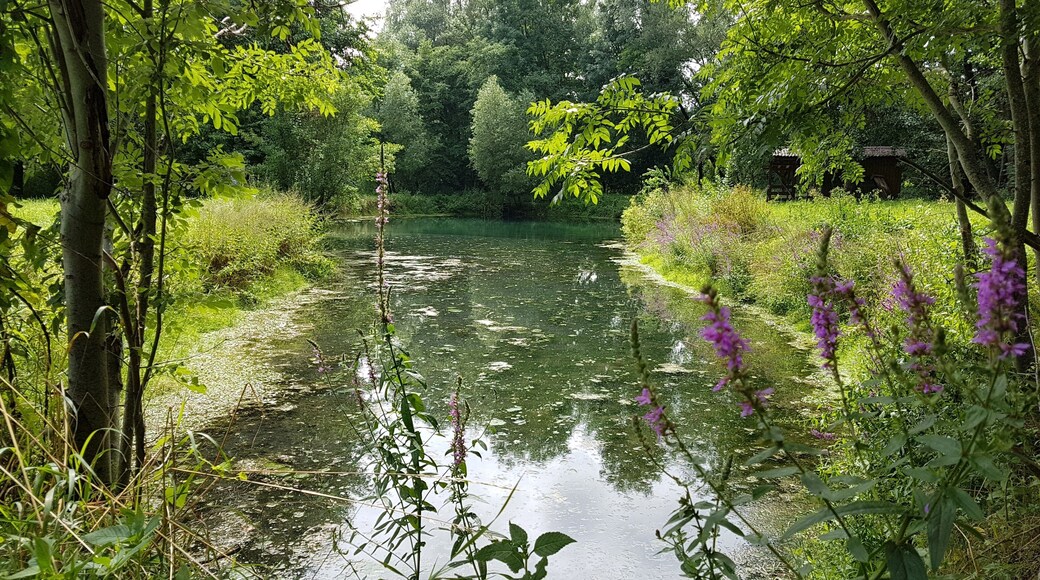 Ein kleiner See neben dem Wittigbach im Wittigbachtal bei Zimmern, einem Stadtteil von Grünsfeld.