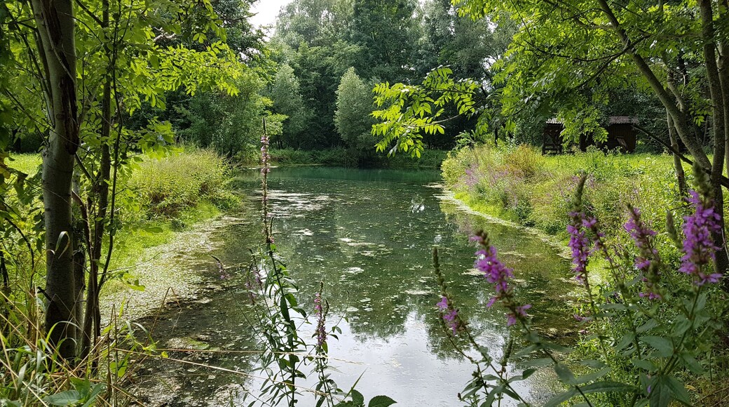 Ein kleiner See neben dem Wittigbach im Wittigbachtal bei Zimmern, einem Stadtteil von Grünsfeld.