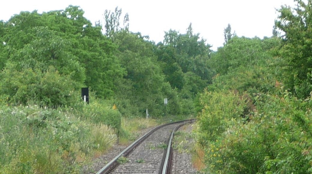 Bahnlinie nach Dürkheim