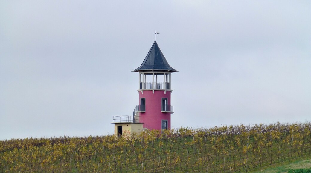 Burgunderturm in Wörrstadt