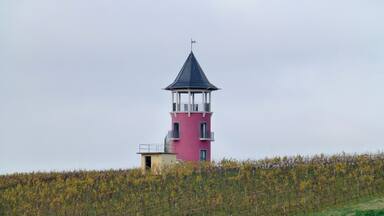 Burgunderturm in Wรถrrstadt