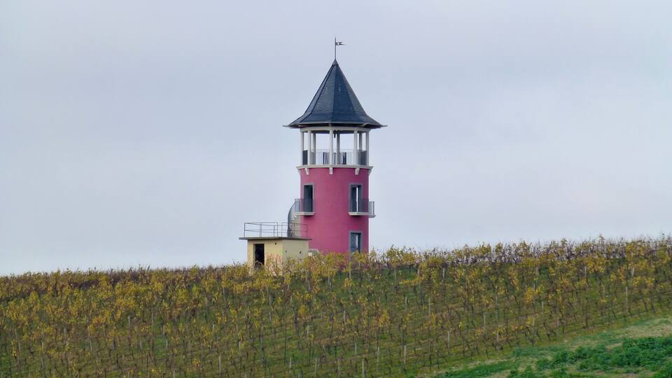 A pink tower with a black roof amidst a vineyard.
