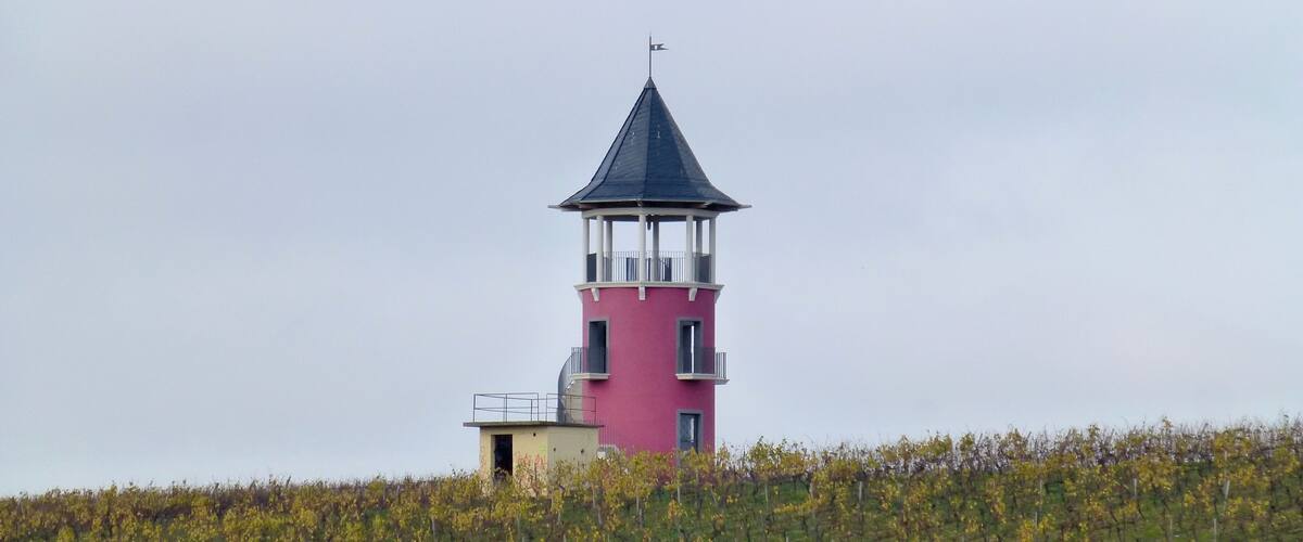 A pink tower with a black roof amidst a vineyard.