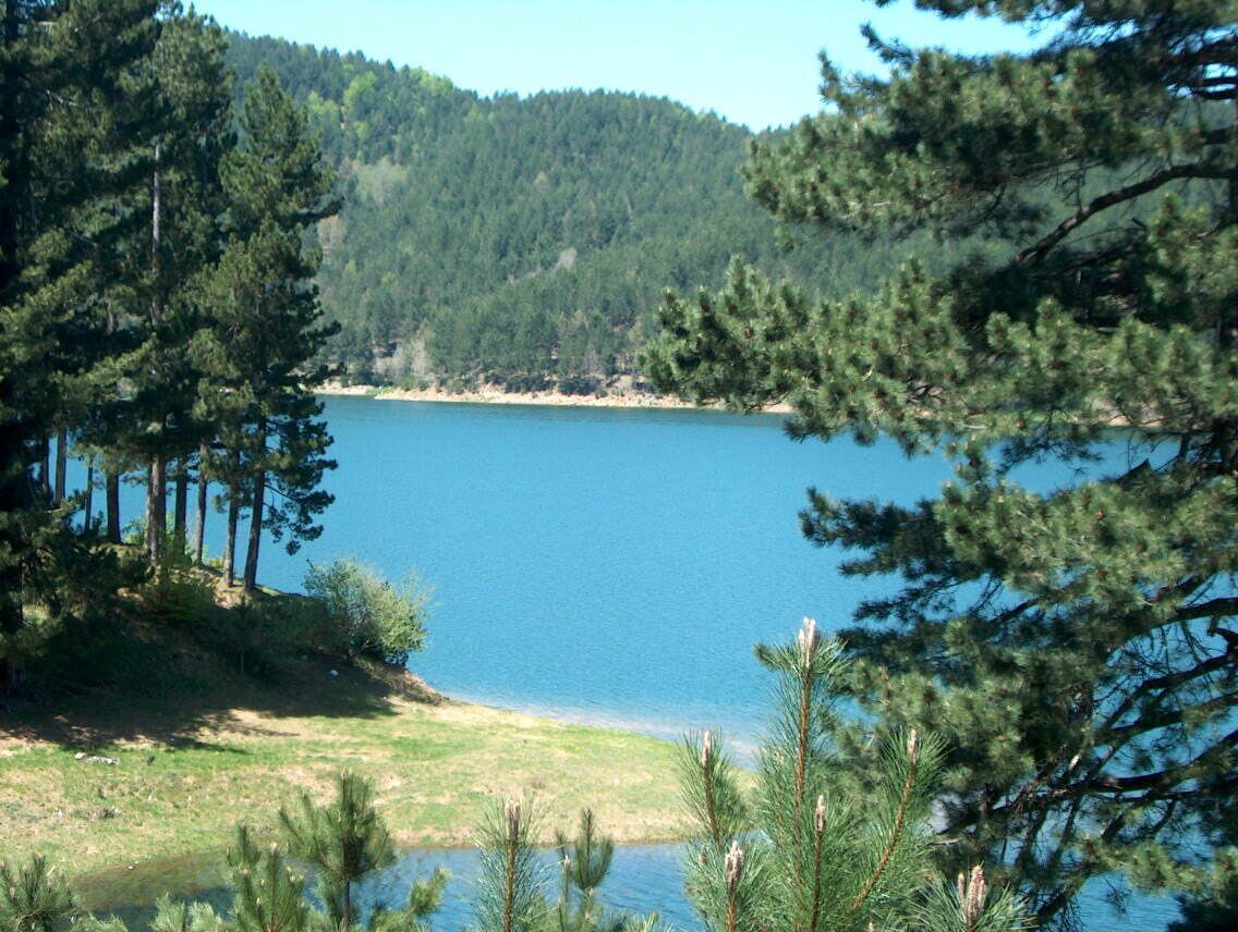 A lake surrounded by dense pine trees and a forested hillside.