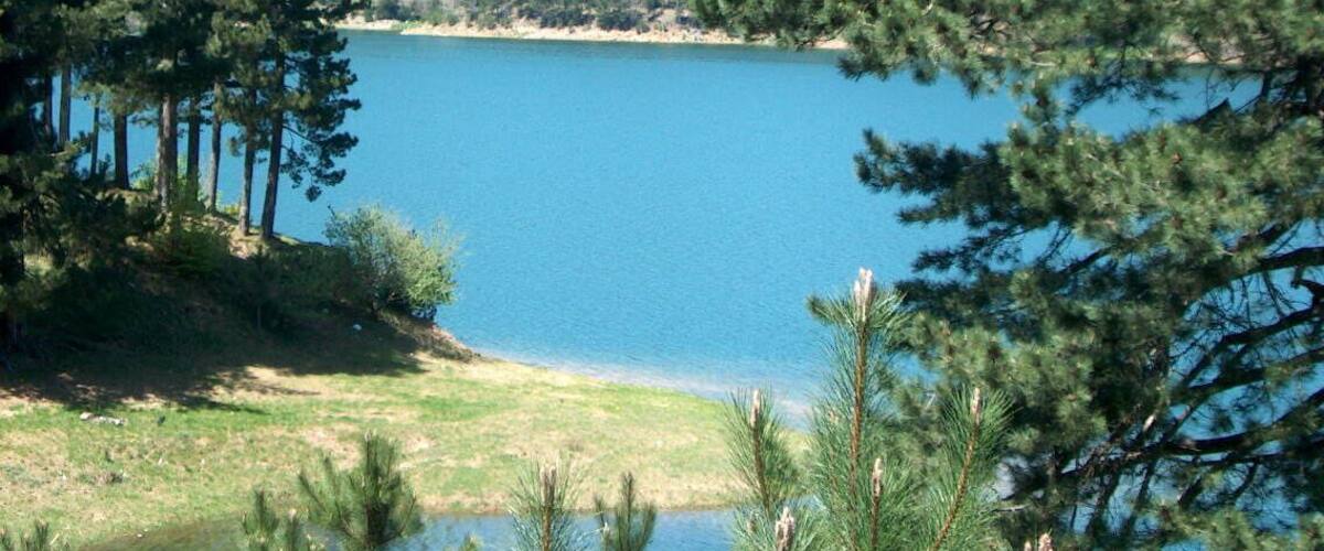 A lake surrounded by dense pine trees and a forested hillside.