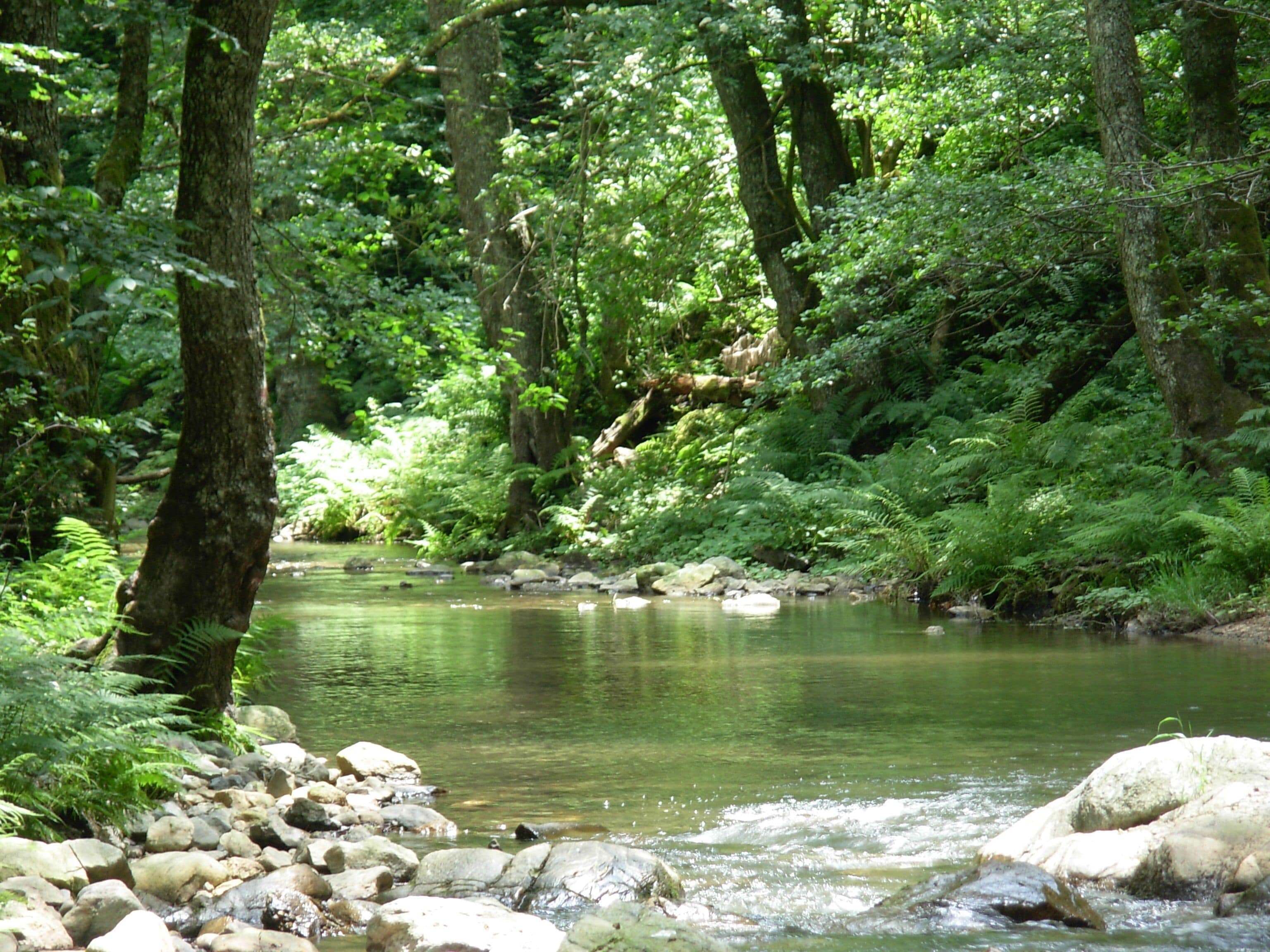 Sorgenti Fiume Simeri