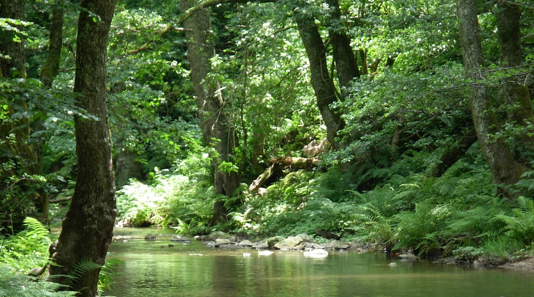 Sorgenti Fiume Simeri