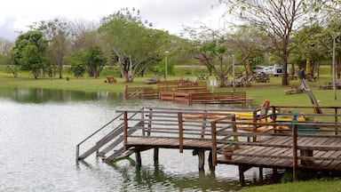 Parque Ecológico Rio Formoso que inclui um jardim e um lago ou charco