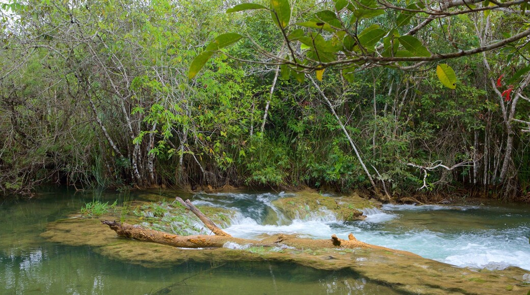 Ökopark Rio Formoso